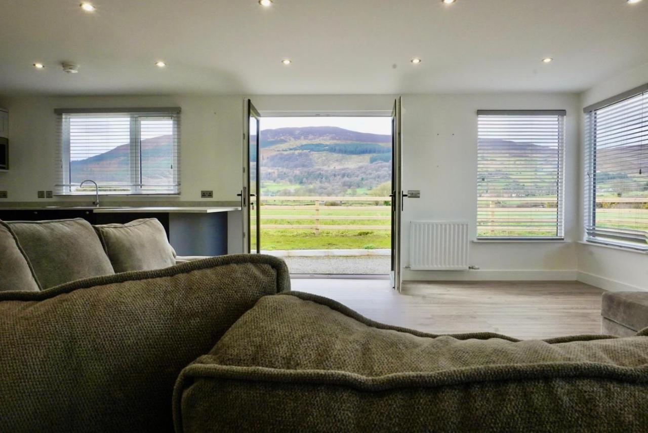 Castle View Chalet By Clonlum Cottages نيوري المظهر الخارجي الصورة